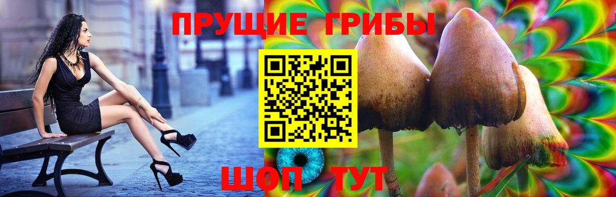 где купить наркоту  Галлюциногенные грибы Psilocybe  Галлюциногенные грибы прущие грибы  Вход с VPN  Ленинск-Кузнецкий 